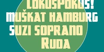 BOSOROK 2017