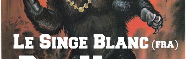 Koncert: Le Singe Blanc (Fra) & Don Vito (Ger)