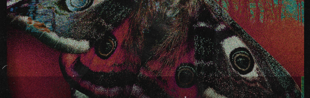 Tomorr (Ita): Folk doom metal
