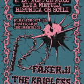 Punk koncert in predvajanje dokumentarca: The Kripless, Fakerji