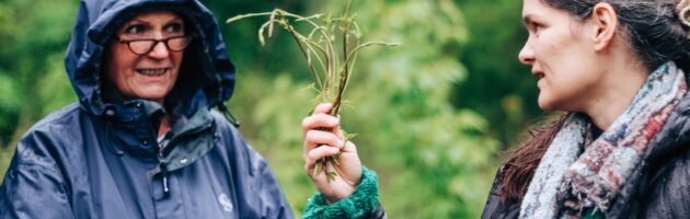 Kaj imajo skupnega nabiranje divjih rožic, brezglutensko pecivo in delavnica petja?